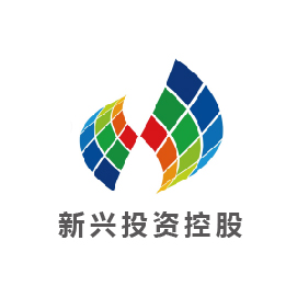 新興控股集團(tuán)